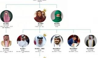 卡塔尔网红王子或为王室旁支成员