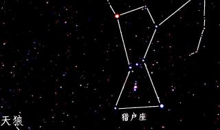 你是那夜空中最美的星星是什么歌