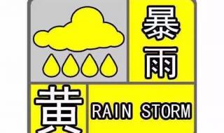 上海黄浦江上全部轮渡停航