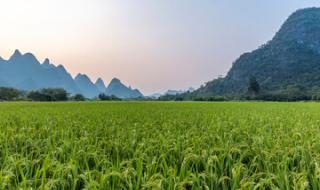 新还珠格格永琪和欣荣圆房是第几集