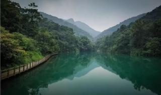 花都王子山森林公园