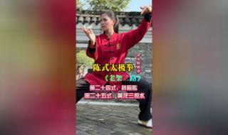 陈氏太极拳老架二路